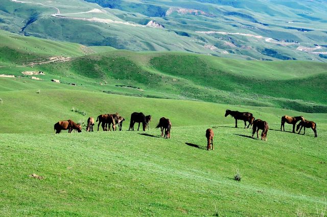 【震撼來襲】新疆喀拉峻景區全攻略!帶你開啟一場絕美的高原 【震撼來襲】新疆喀拉峻景區全攻略!帶你開啟一場絕美的高原