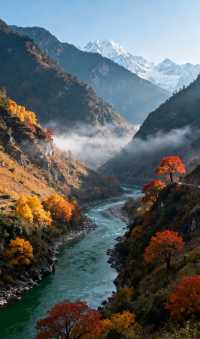 11月怒江封神!這個邊境秘境野到骨子裡,比大理麗江清靜10倍