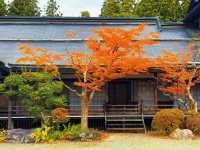 拈花一笑高野山