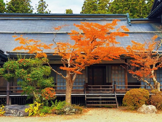 拈花一笑高野山