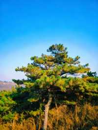 天津周邊秋色封神！魯家峪8km新手徒步路線，風景美到失語