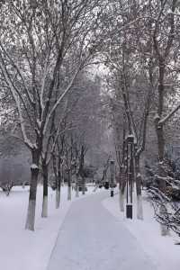 雪染峽谷,軒暖歸途