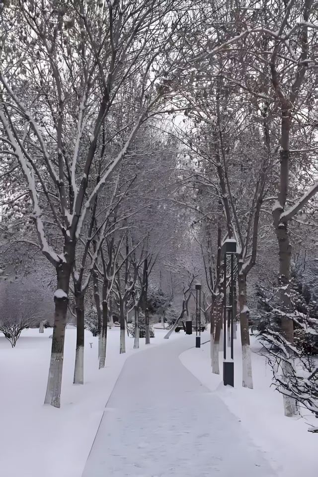 雪染峽谷,軒暖歸途 雪染峽谷,軒暖歸途