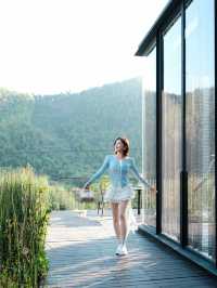 週末自駕莫干山帶毛孩子一起撒歡