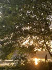 在半島世界酒店，偶遇秋日最美江濱公園