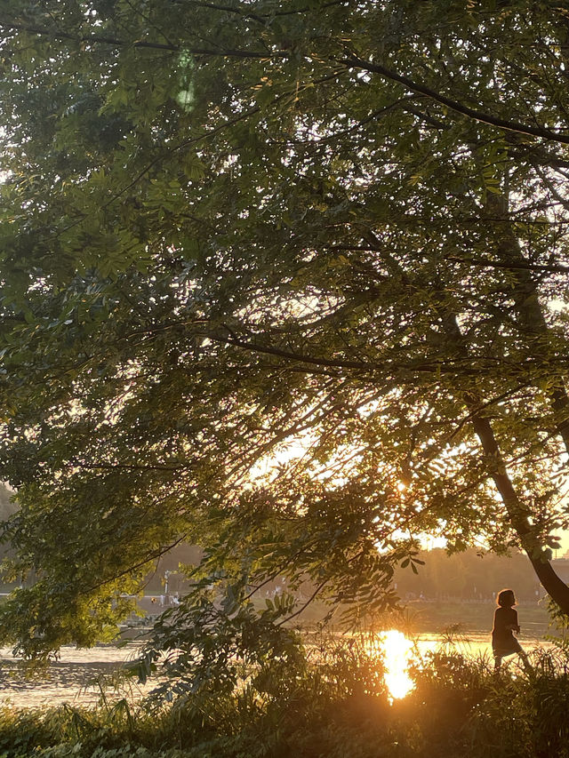 在半島世界酒店，偶遇秋日最美江濱公園