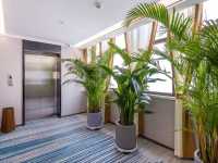 雅丹徒步撿「戈壁寶藏」，雲景酒店成了臨時藏寶閣！