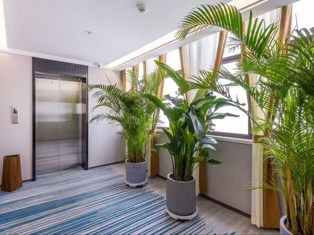 雅丹徒步撿「戈壁寶藏」，雲景酒店成了臨時藏寶閣！