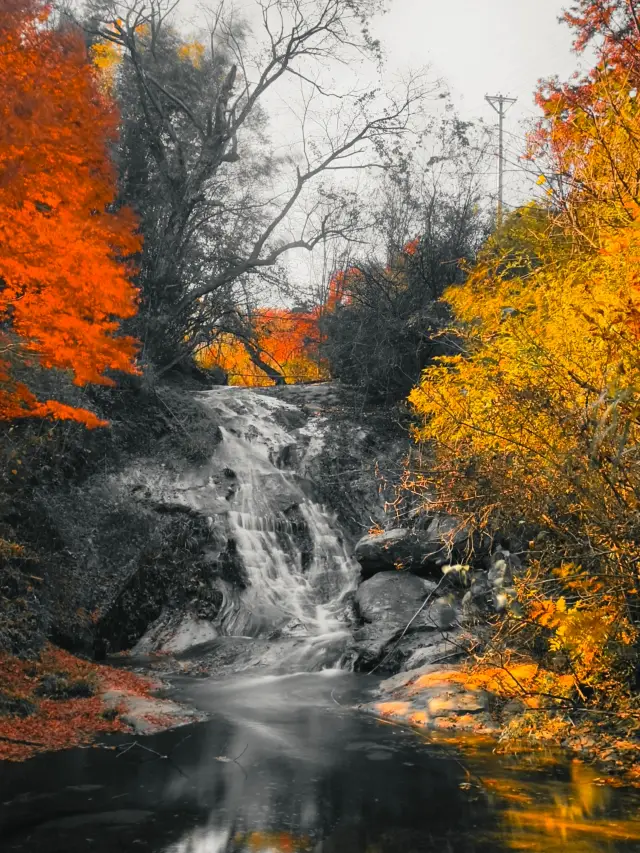 Tour tự lái Mazongling