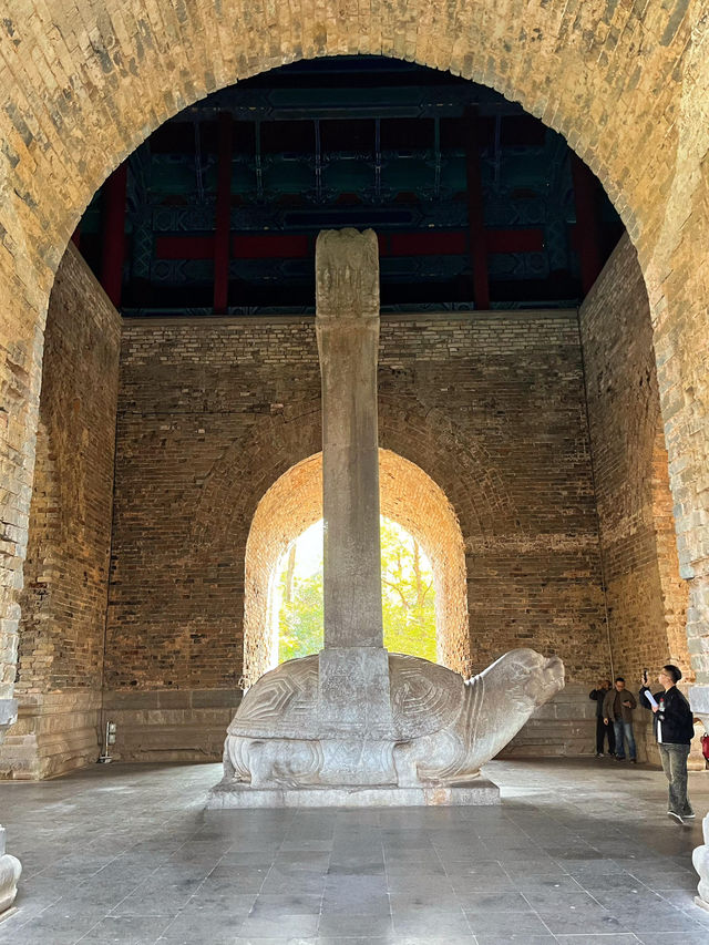 南京秋日City Walk！這幾個地方一定要打卡