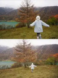 在綿陽發現一處小眾免費看彩林的地方