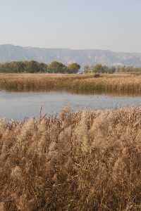 在街頭西安citywalk