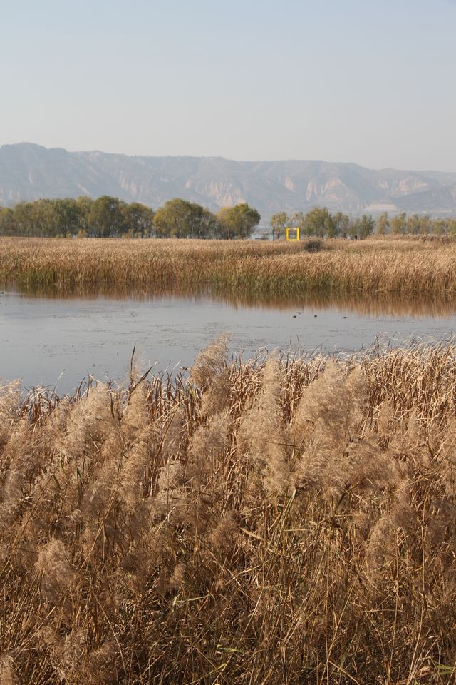 在街頭西安citywalk 在街頭西安citywalk