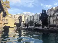 謝謝上野送的生日禮物~今天的快樂是免費哒