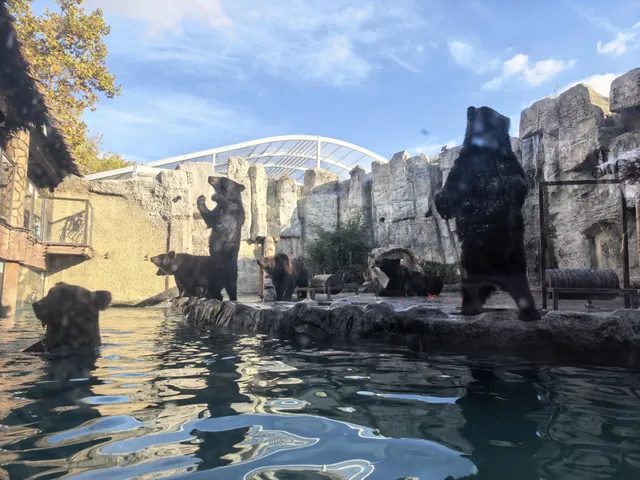 謝謝上野送的生日禮物~今天的快樂是免費哒 謝謝上野送的生日禮物~今天的快樂是免費哒