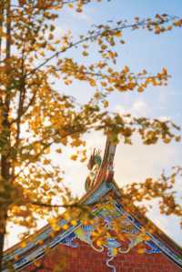 12月預告｜承天寺銀杏黃，是古城最絕的秋意