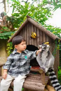 2h直達上海周邊遛娃聖地南通野生動物