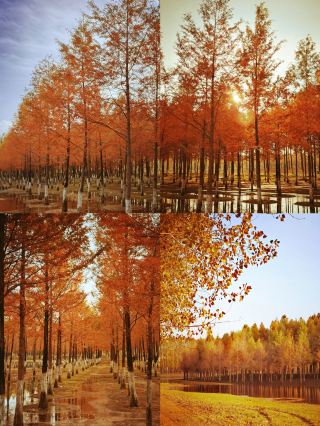 我敢打保票，商丘絕對是一個有文化底蘊的城市