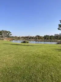 上海植物園！藏在市區的森林秘境