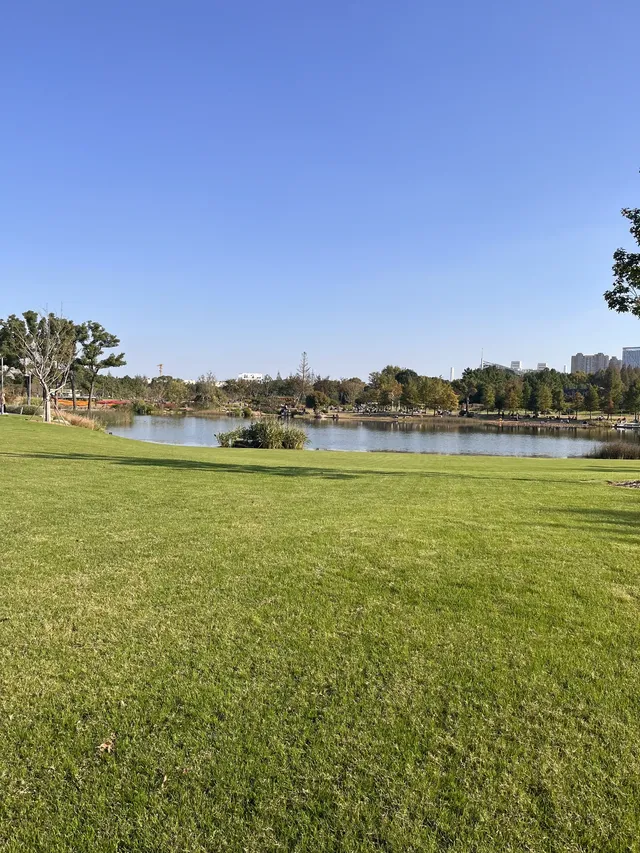 上海植物園！藏在市區的森林秘境