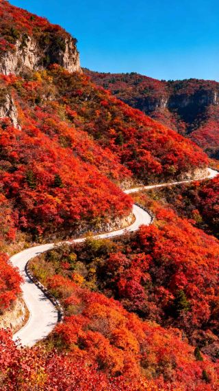 長治老頂山秋冬暴擊：紅葉瘋燃+冰雪撒歡，晉東南魔幻打卡！