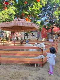 佛山祖廟附近新開的！！遛娃好去處！！