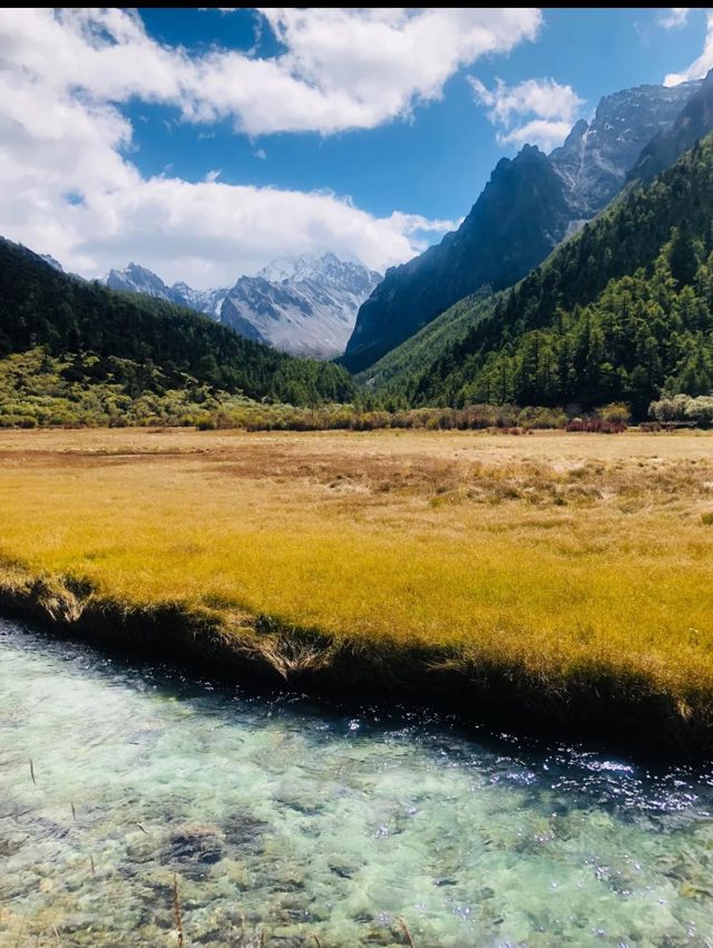 稻城亞丁秘境沖古草甸才是真正的世外桃源! 稻城亞丁秘境沖古草甸才是真正的世外桃源!