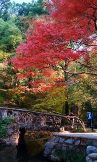 嶽麓山懶人一日遊攻略（超詳細版）