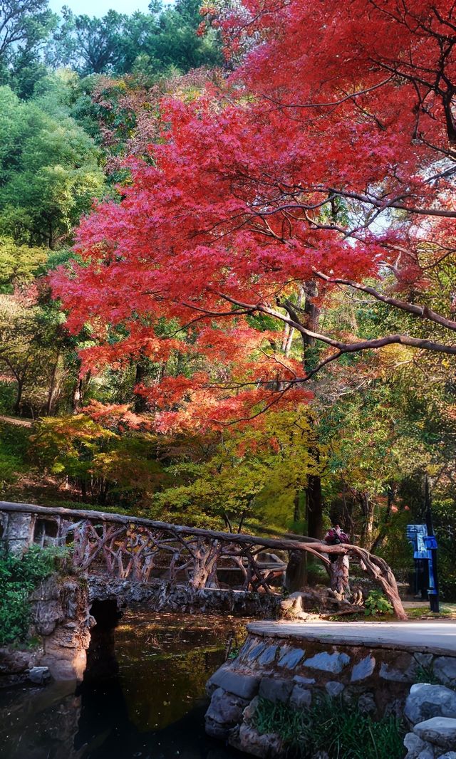 嶽麓山懶人一日遊攻略（超詳細版）