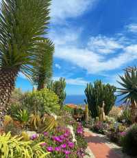 超美法國蔚藍海岸的中世紀懸崖小鎮老鷹巢村埃茲全攻略