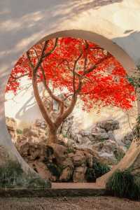 江浙滬的秋,是把調色盤潑向了人間