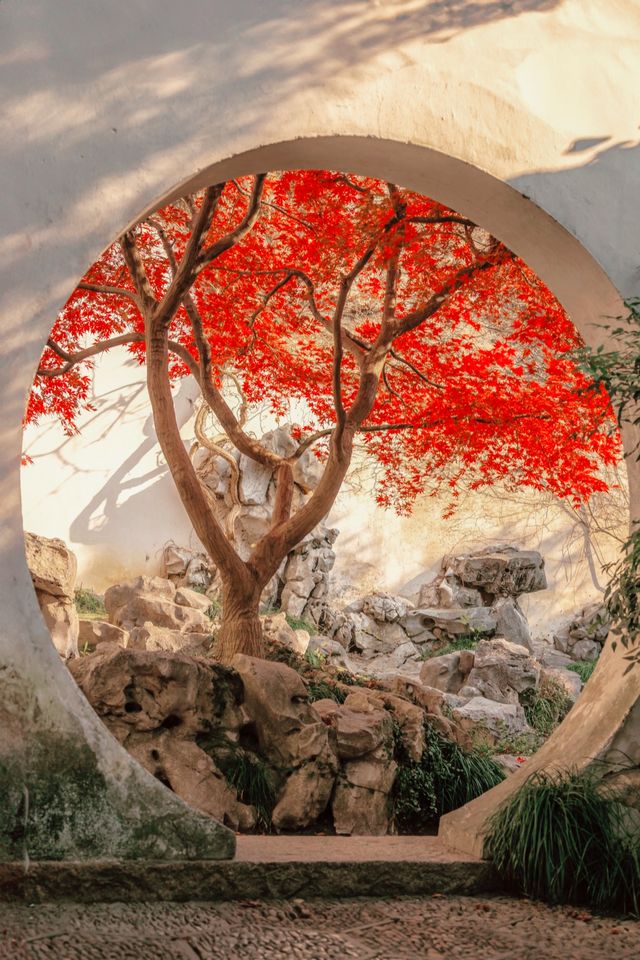 江浙滬的秋,是把調色盤潑向了人間 江浙滬的秋,是把調色盤潑向了人間