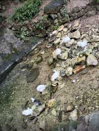 江浙滬週末徒步天花板絕美竹林秘境路線公開！