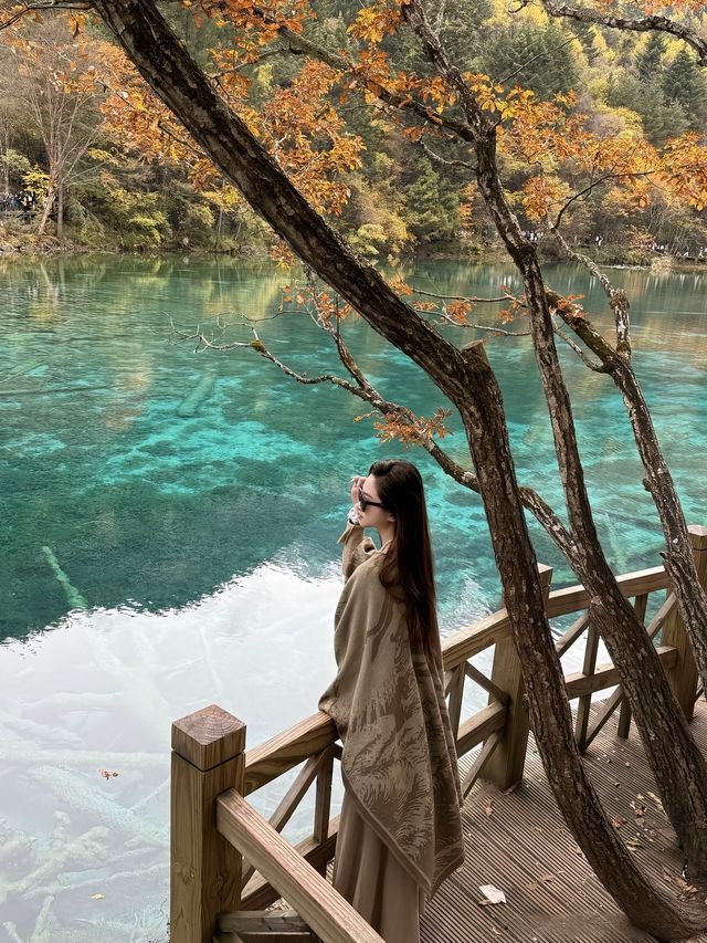 九寨溝遊玩全攻略｜高反應對+避坑指南，玩轉人間仙境不踩雷！