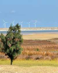 來吧 這個漫節奏的避世海島