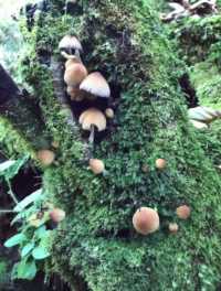 爆冷門！陝西這座神仙峽谷竟藏匿著八仙的祕籍