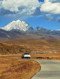 歡迎來塔公草原遊玩