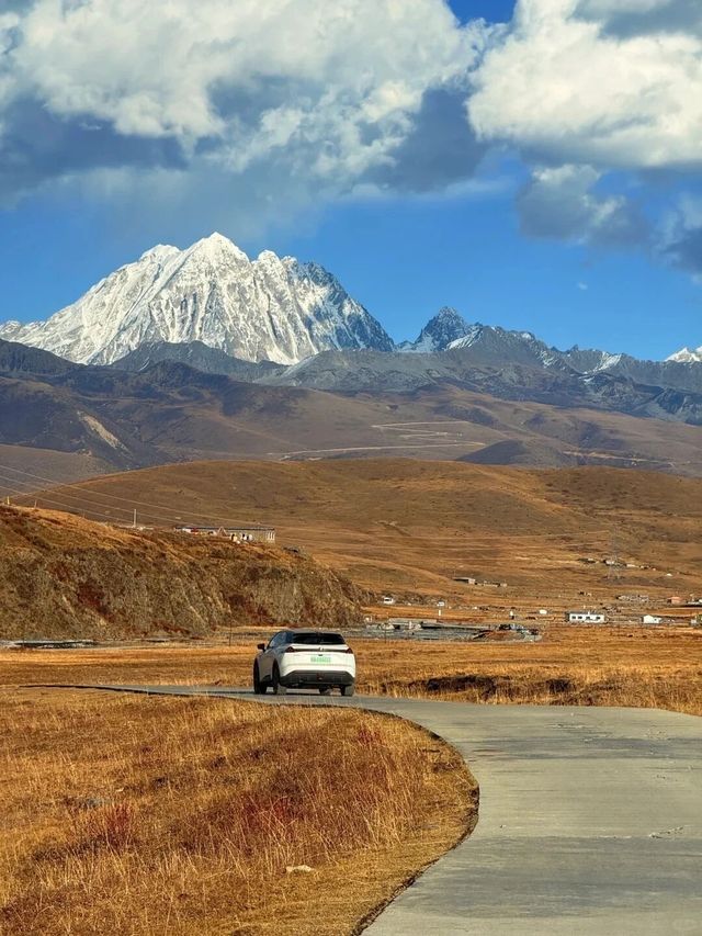 歡迎來塔公草原遊玩