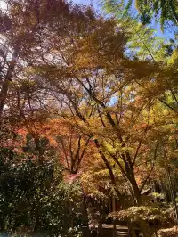 莫干山的正確打開方式