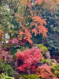 上海小京都這片楓葉階梯美到窒息!人少速來!