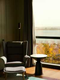 上海臨港凱悅酒店｜不出滬小眾度假天堂，寵物友好酒店打卡！