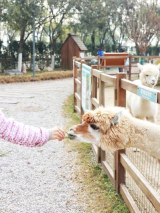 The ultimate family hotel in Xuzhou!