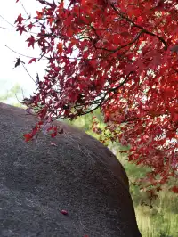 我找到了廈門的秋天