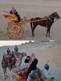 埃及旅行,最驚喜的原來是考古學導遊