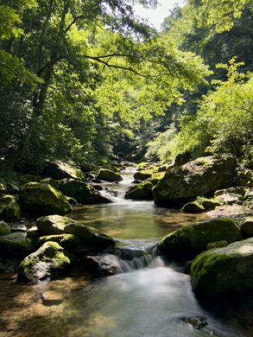 Locals' Secret! 3 Free Perks at West Lake to Double Your Happiness When Visiting