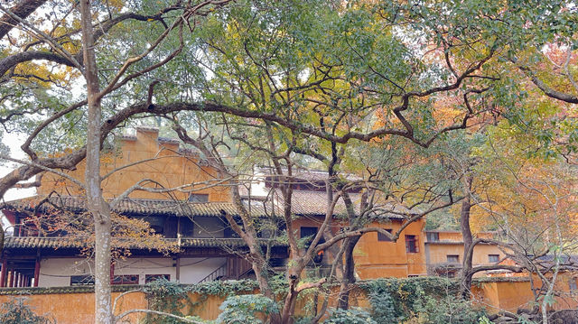 台州三日遊｜小箬村的彩虹糖罐美到犯規！