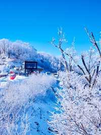 住進滑雪場裡!在長白山實現滑雪+撸寵自由