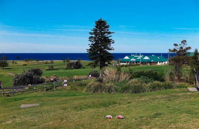 海邊自駕這樣玩不迷路 海邊自駕這樣玩不迷路