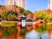 11.27實拍!和平公園的秋天比濾鏡還絕!