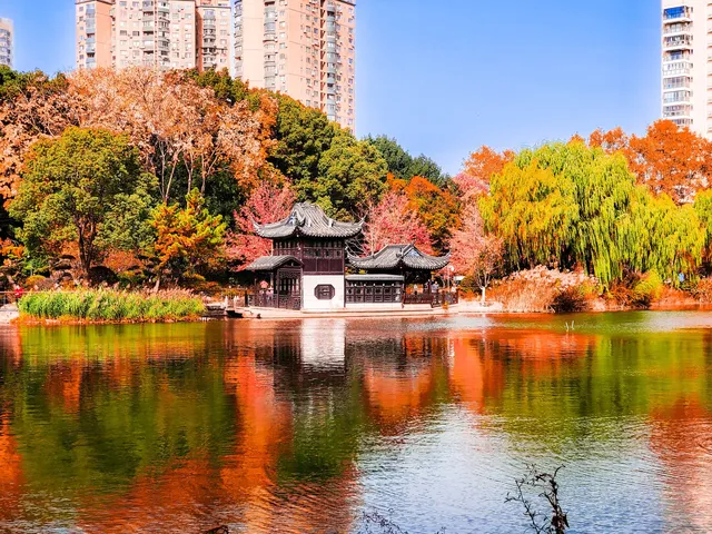 11.27實拍!和平公園的秋天比濾鏡還絕! 11.27實拍!和平公園的秋天比濾鏡還絕!